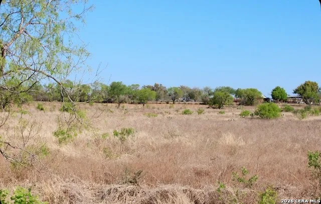 435 County Road 7715 Devine, TX 78016