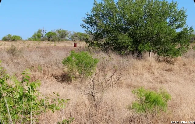 435 County Road 7715 Devine, TX 78016