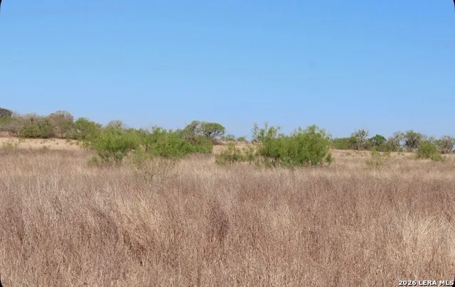 435 County Road 7715 Devine, TX 78016