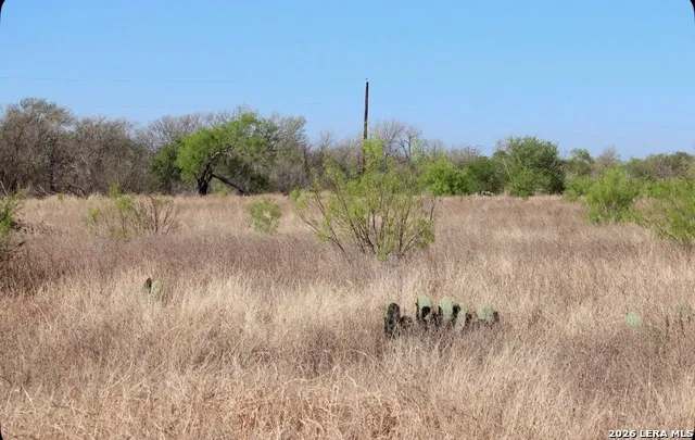 435 County Road 7715 Devine, TX 78016