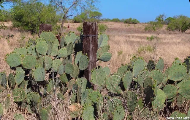 435 County Road 7715 Devine, TX 78016