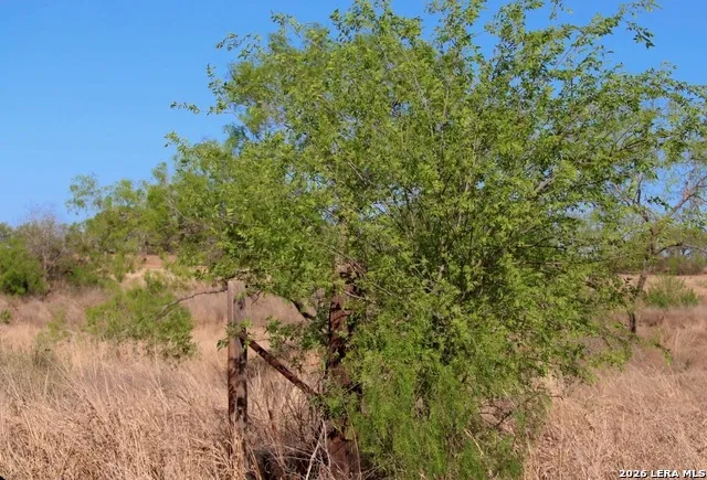 435 County Road 7715 Devine, TX 78016