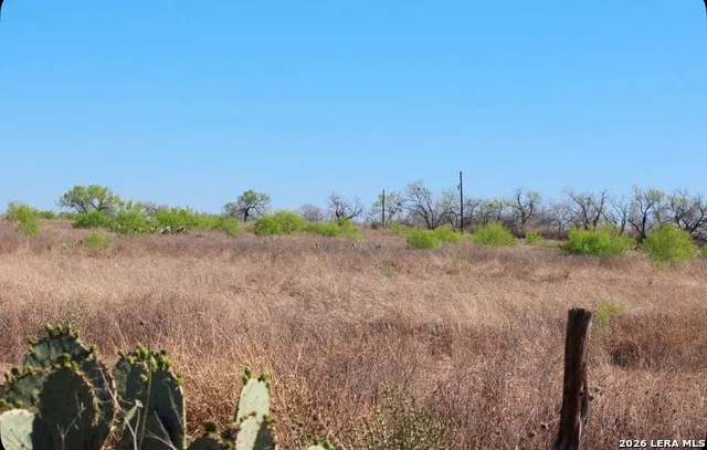 435 County Road 7715 Devine, TX 78016