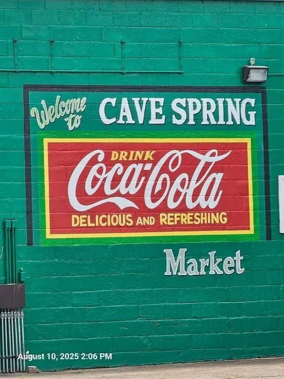 8126 Blacks Bluff Road SW Cave Spring, GA 30124