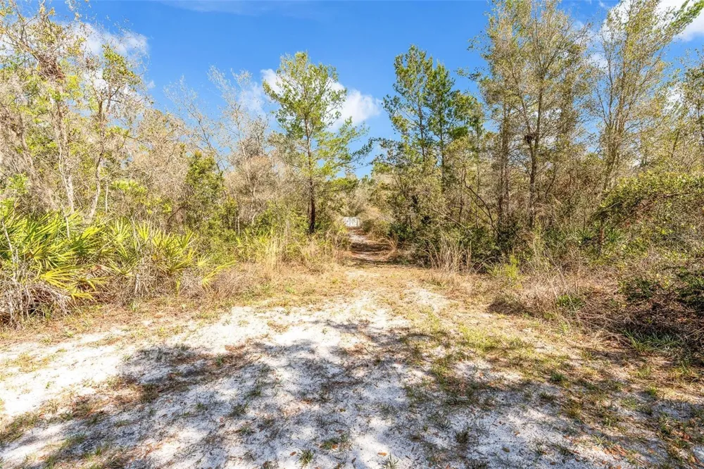 326 ENTERPRISE OSTEEN ROAD Osteen, FL 32764