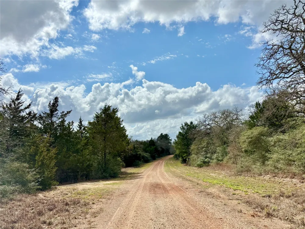 Sycamore Lane Hilltop Lakes, TX 77871