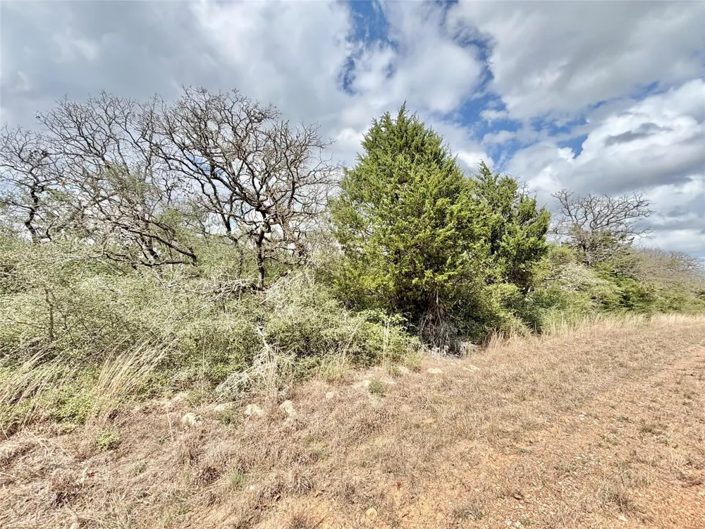 Sycamore Lane Hilltop Lakes, TX 77871