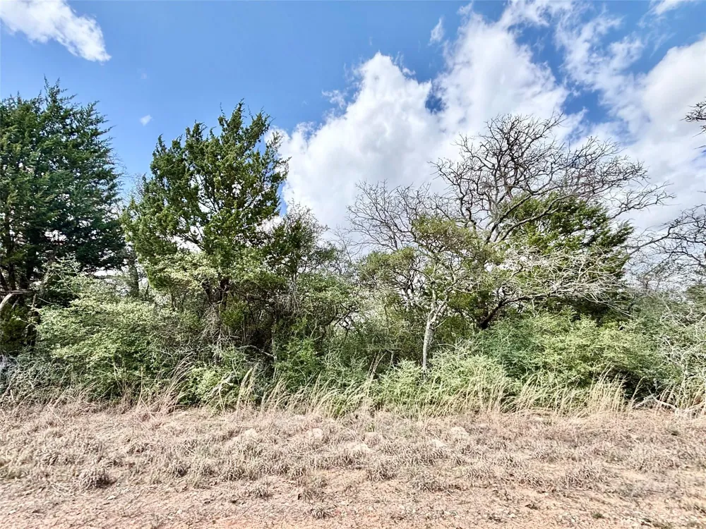 Sycamore Lane Hilltop Lakes, TX 77871
