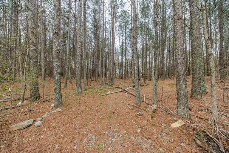 13585 Arnold Mill Road Milton, GA 30075
