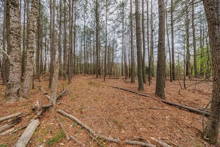 13585 Arnold Mill Road Milton, GA 30075