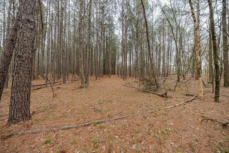 13585 Arnold Mill Road Milton, GA 30075
