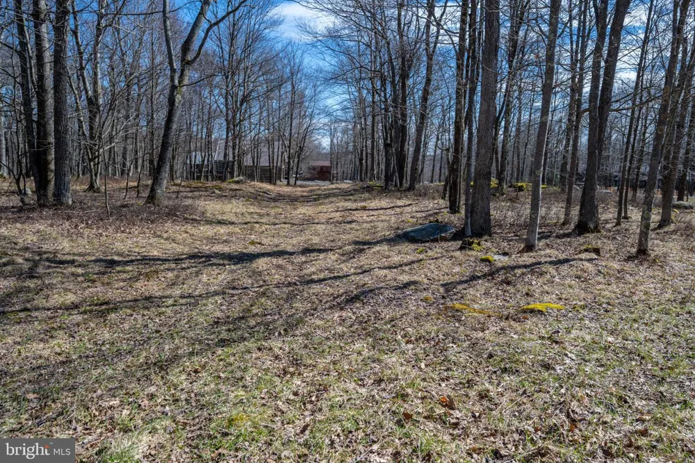36 FERN LOOP Mc Henry, MD 21541
