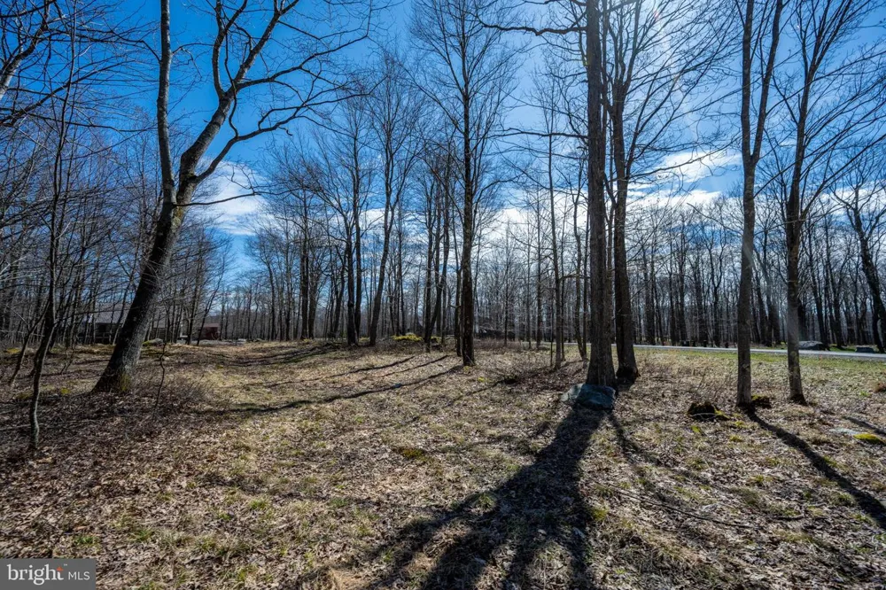 36 FERN LOOP Mc Henry, MD 21541