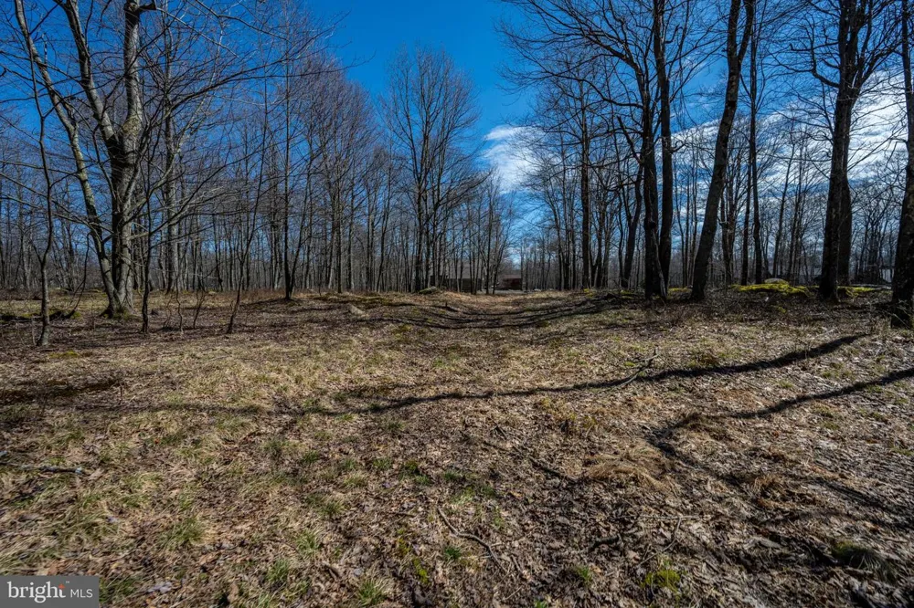 36 FERN LOOP Mc Henry, MD 21541