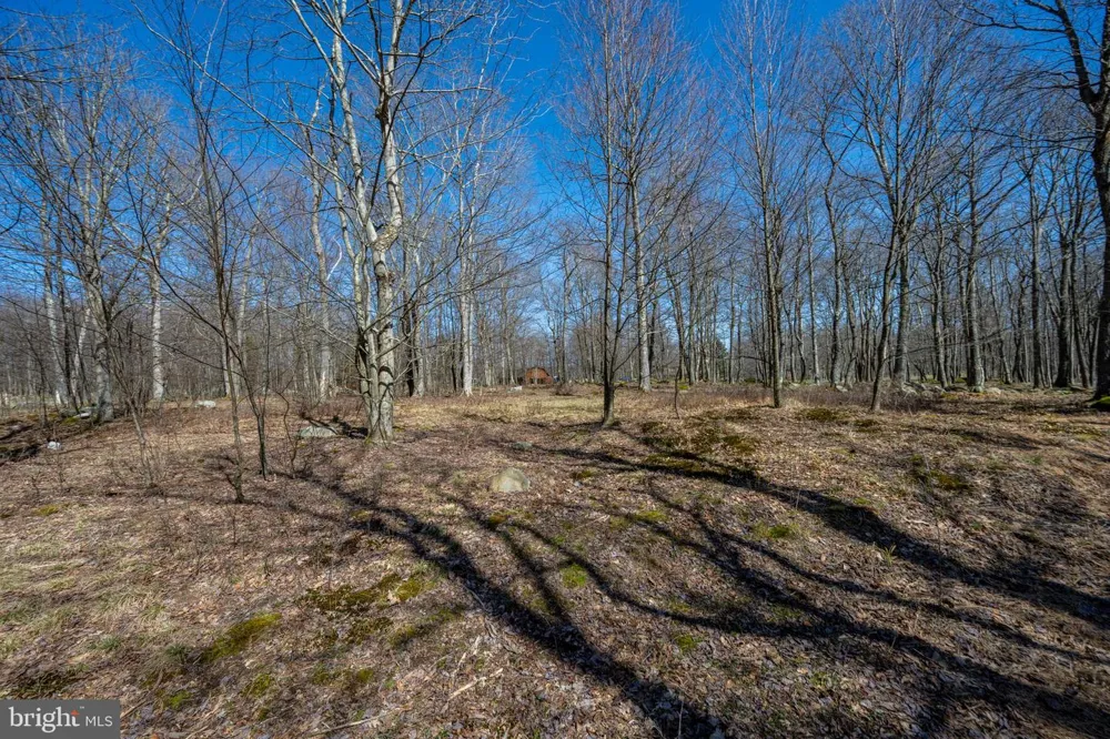 36 FERN LOOP Mc Henry, MD 21541