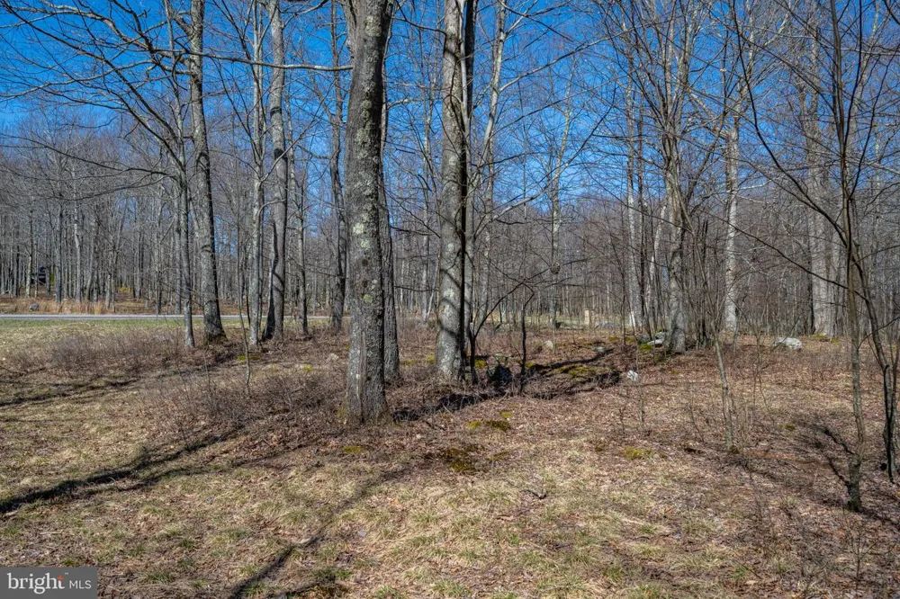 36 FERN LOOP Mc Henry, MD 21541