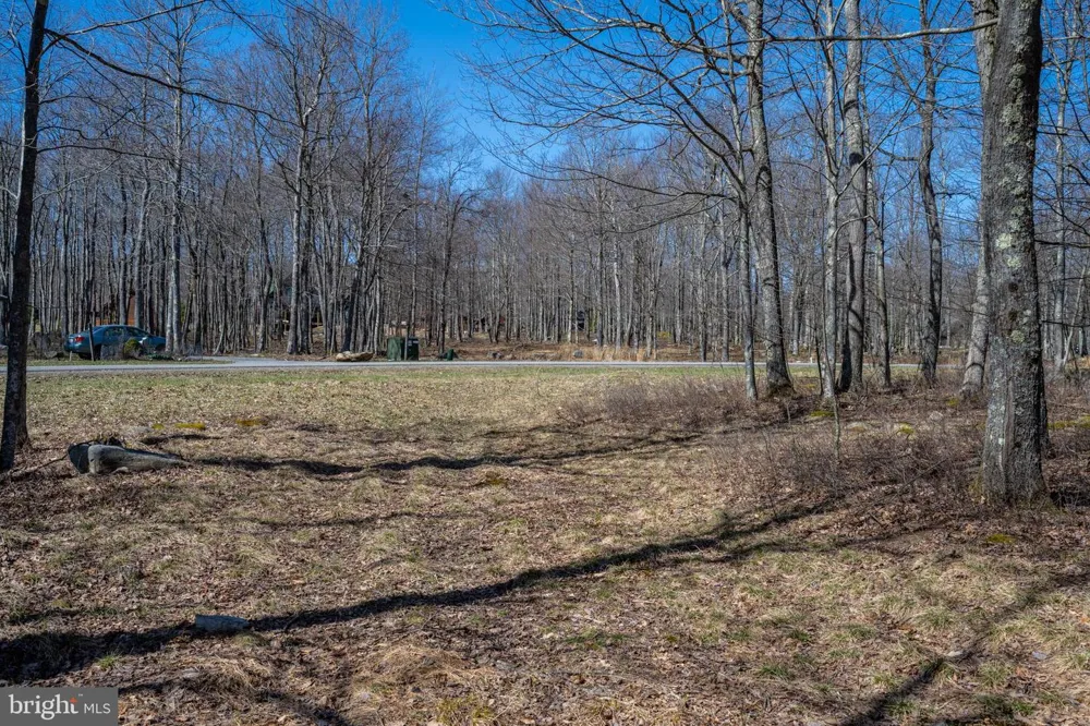 36 FERN LOOP Mc Henry, MD 21541