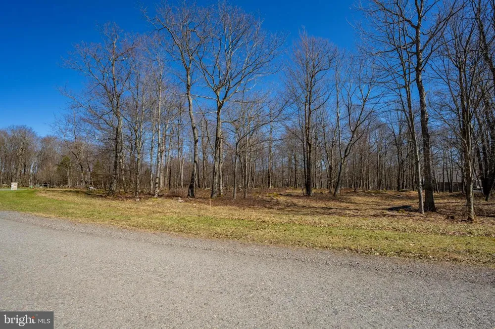 36 FERN LOOP Mc Henry, MD 21541