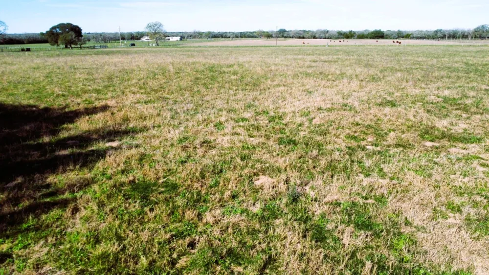 1 Fm 957 Schulenburg, TX 78956
