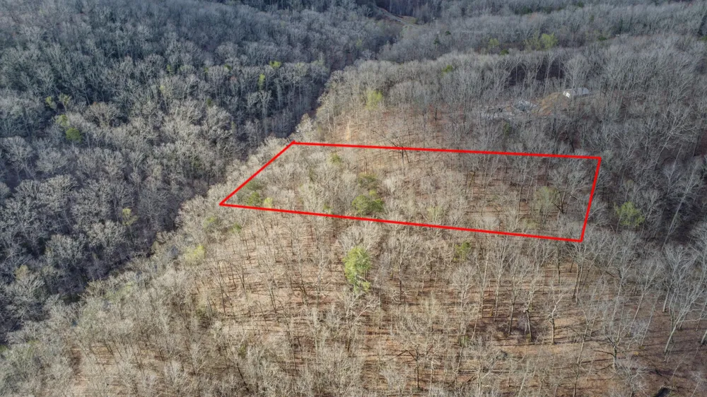 434 Hidden Oaks Road Rockwood, TN 37854