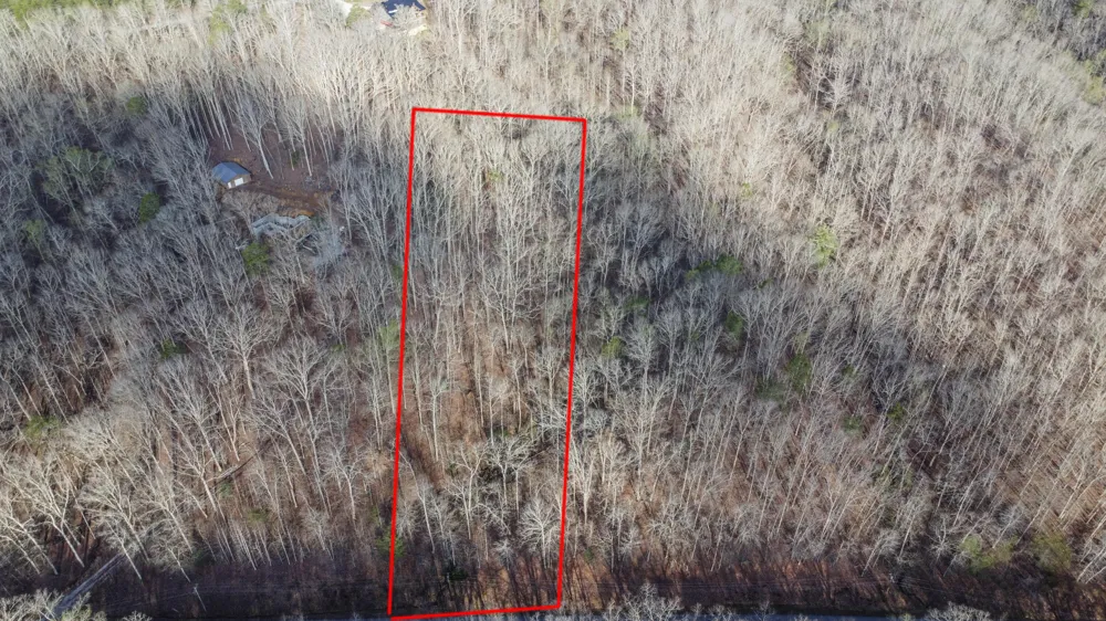 434 Hidden Oaks Road Rockwood, TN 37854
