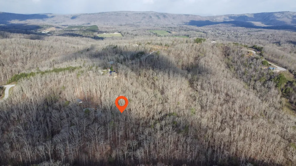 434 Hidden Oaks Road Rockwood, TN 37854