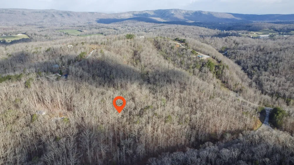 434 Hidden Oaks Road Rockwood, TN 37854