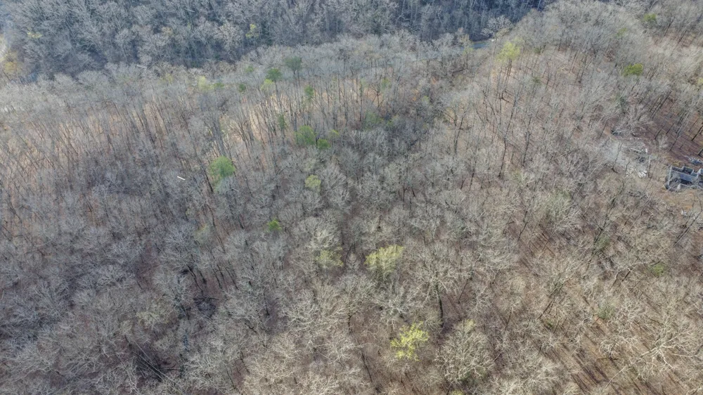 434 Hidden Oaks Road Rockwood, TN 37854