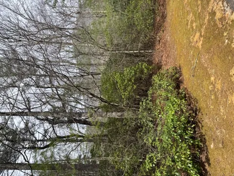 72 Big Pine Road