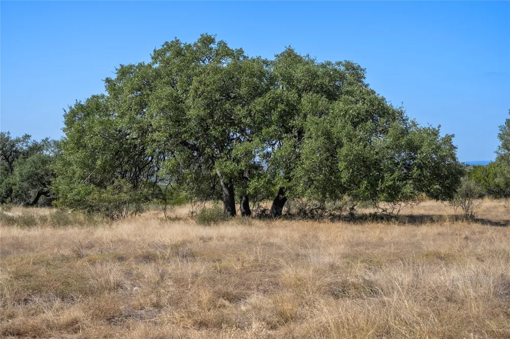 219 Canyon Road Johnson City, TX 78636