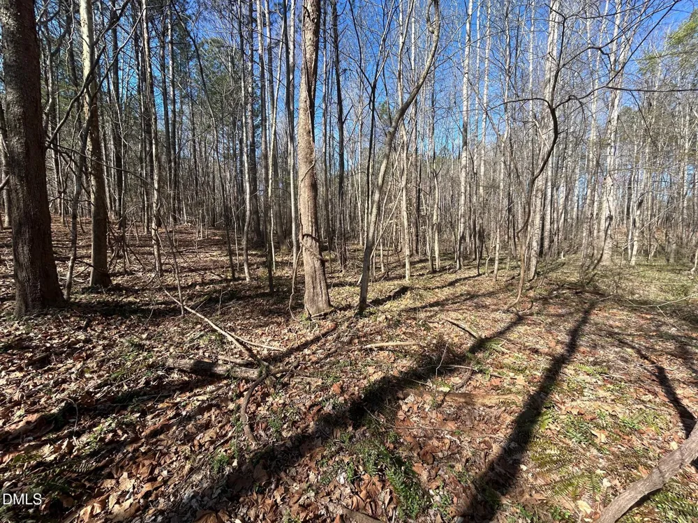 2223 Irvin Street Oxford, NC 27565