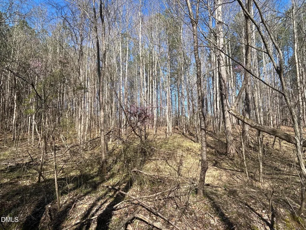 2223 Irvin Street Oxford, NC 27565