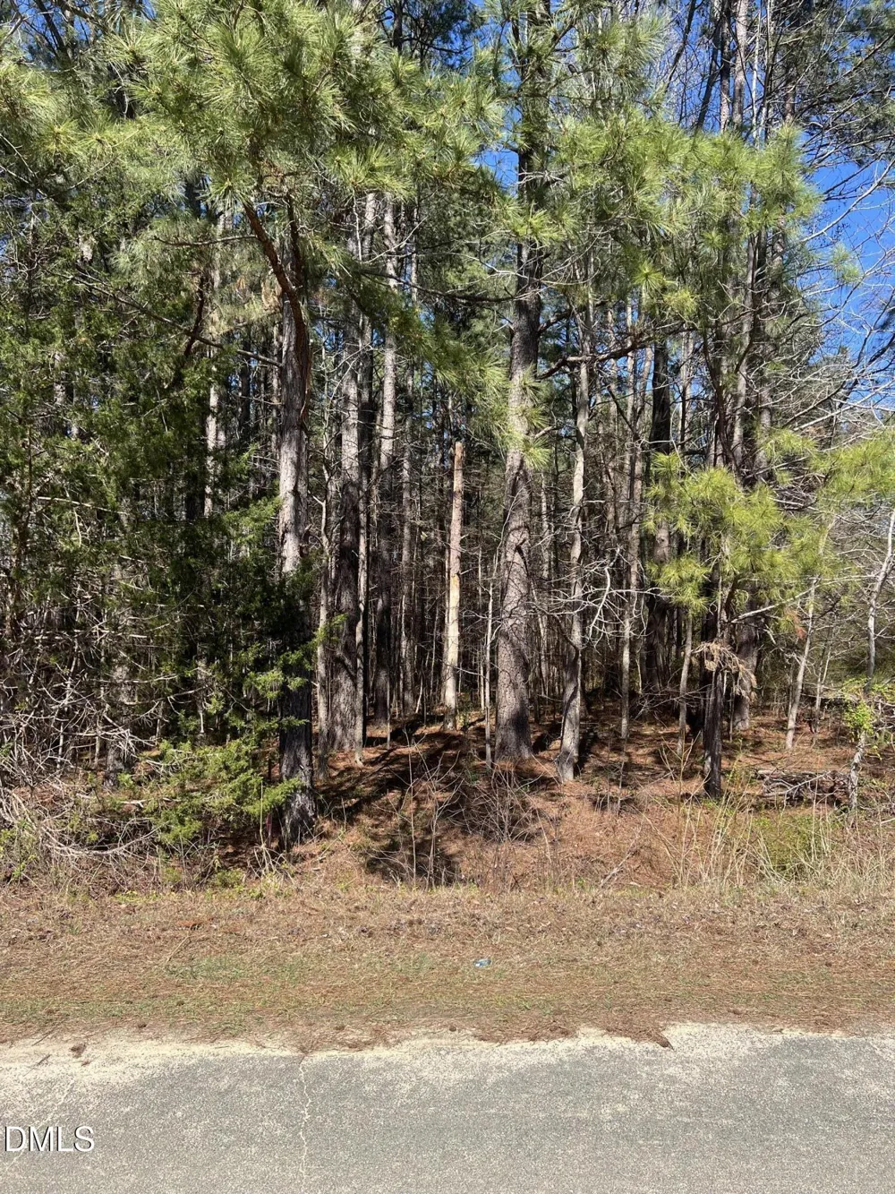 299 Hodges Road Franklinton, NC 27525
