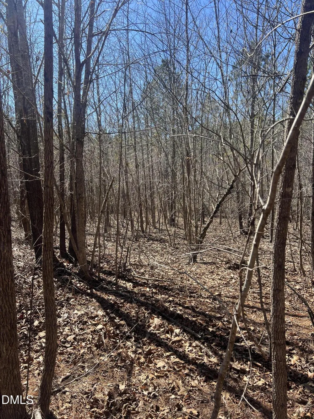 299 Hodges Road Franklinton, NC 27525