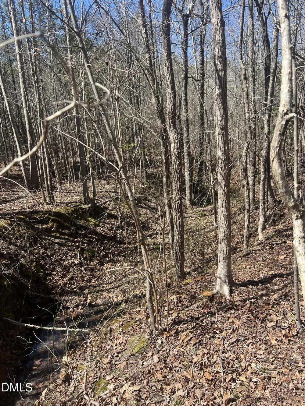 299 Hodges Road Franklinton, NC 27525