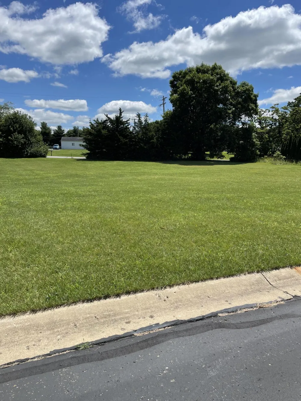 6 Coronado Drive Jackson, MI 49201
