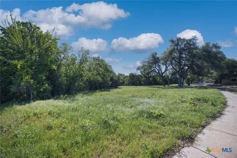 504 Prize Oaks Drive Cedar Park, TX 78613