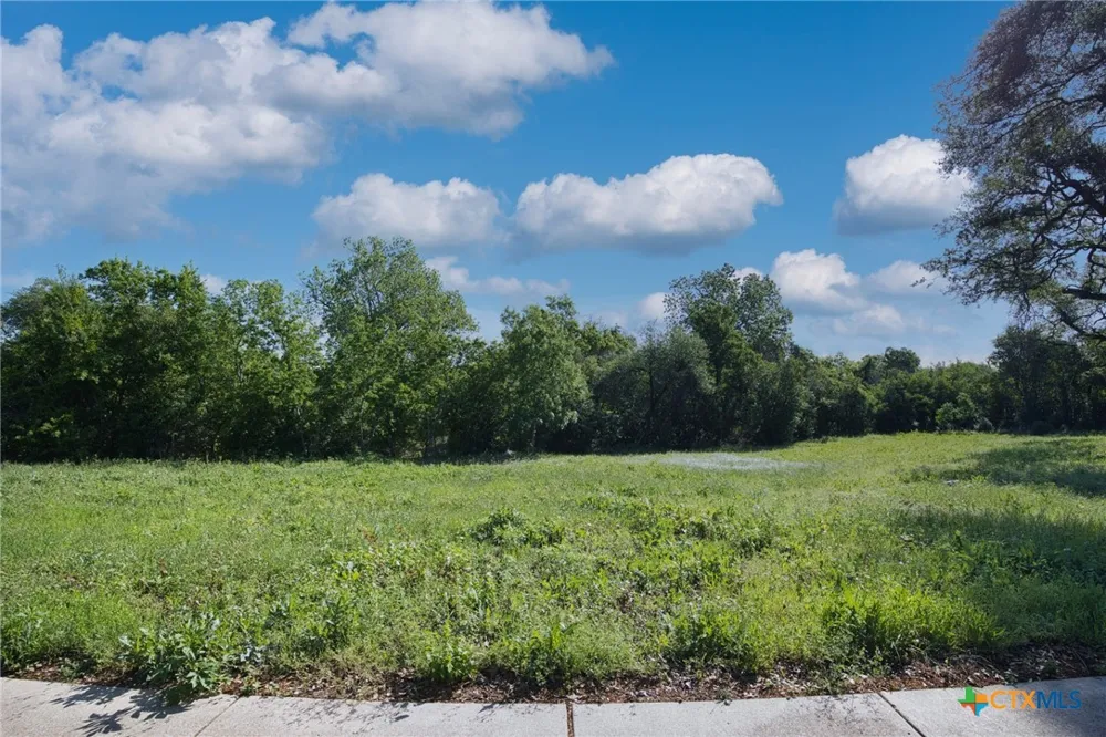 504 Prize Oaks Drive Cedar Park, TX 78613
