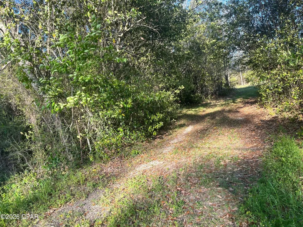 Main Street Grand Ridge, FL 32442