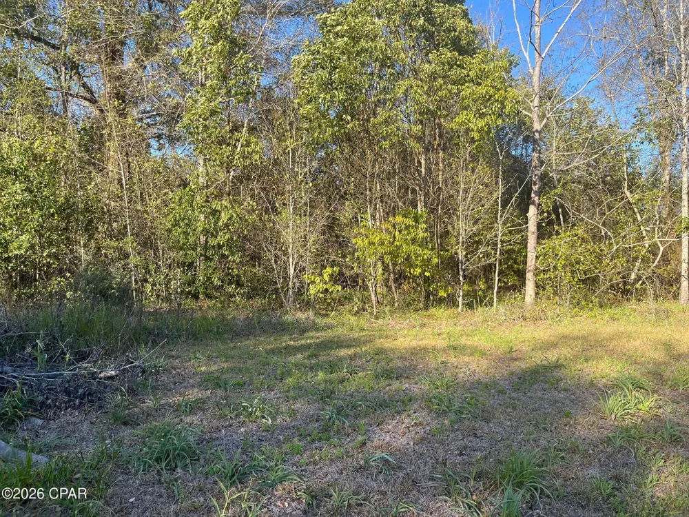 Main Street Grand Ridge, FL 32442