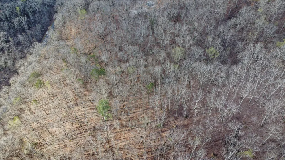435 Hidden Oaks Road Rockwood, TN 37854