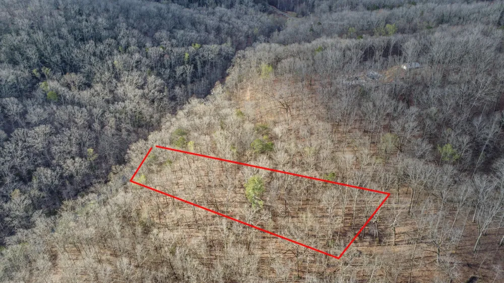 435 Hidden Oaks Road Rockwood, TN 37854