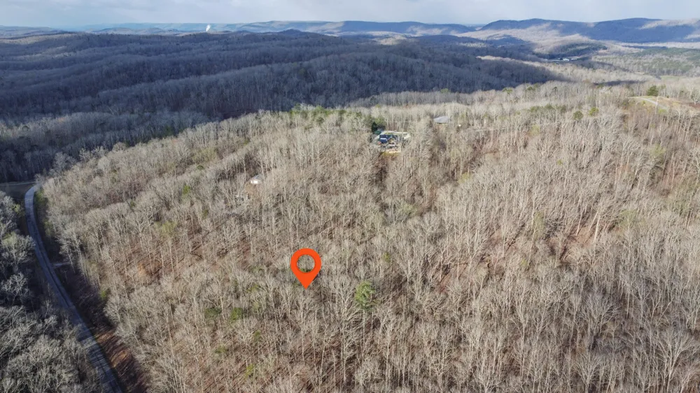 435 Hidden Oaks Road Rockwood, TN 37854