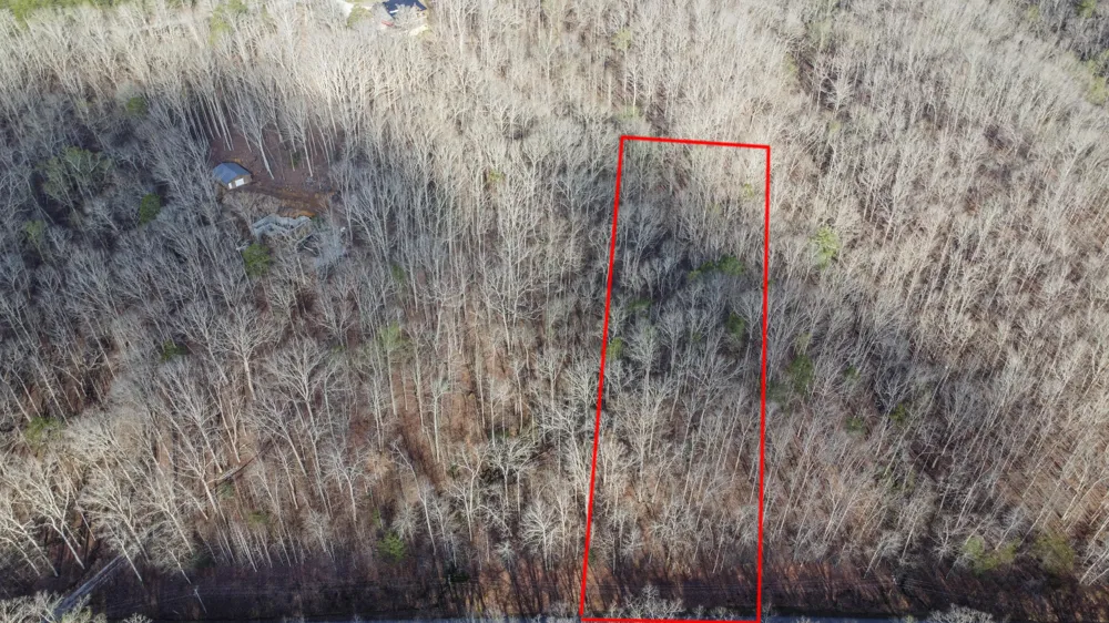 435 Hidden Oaks Road Rockwood, TN 37854