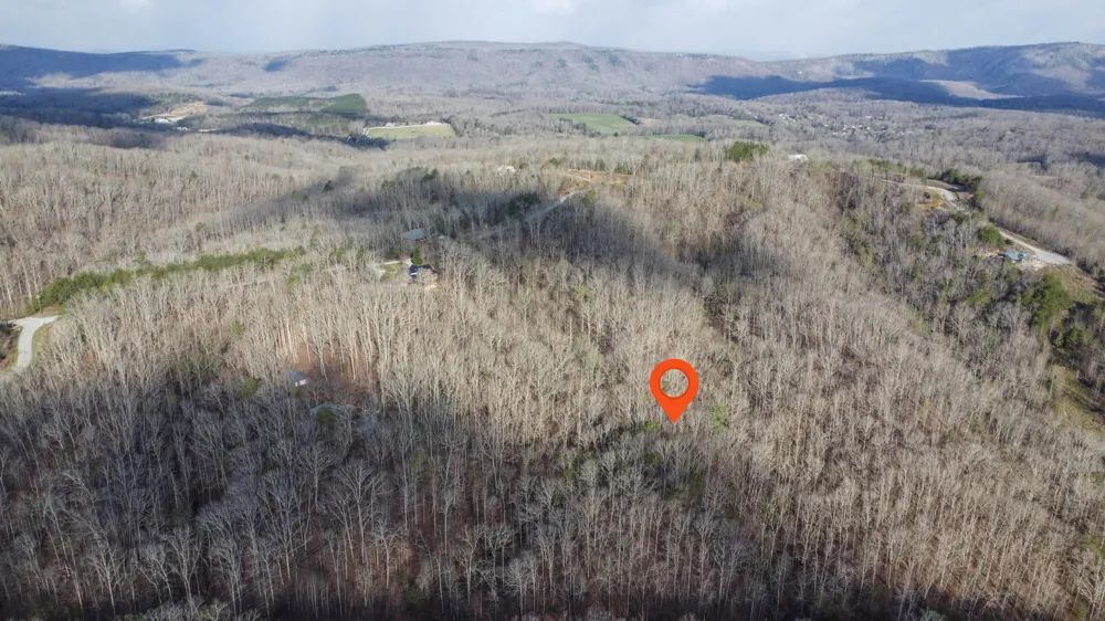 435 Hidden Oaks Road Rockwood, TN 37854