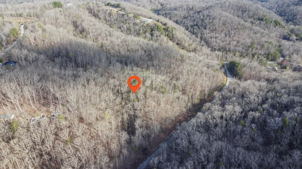 435 Hidden Oaks Road Rockwood, TN 37854