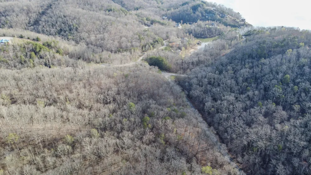 435 Hidden Oaks Road Rockwood, TN 37854