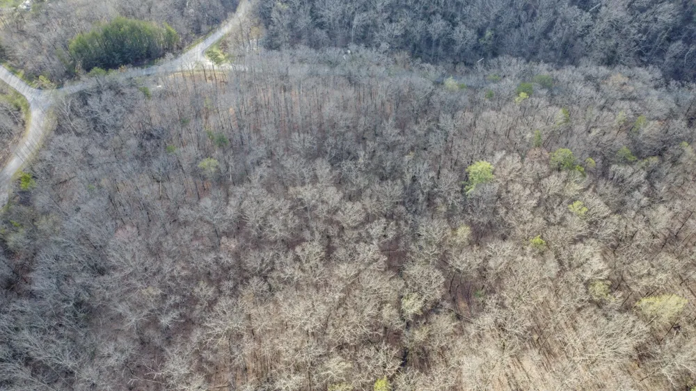 435 Hidden Oaks Road Rockwood, TN 37854