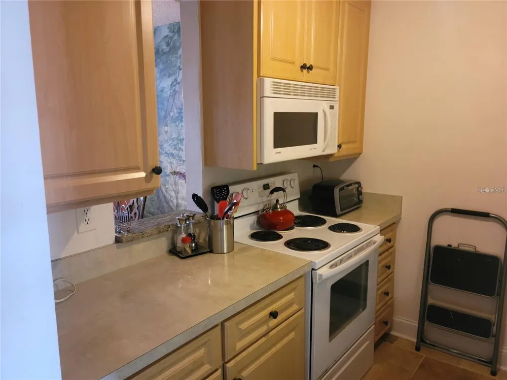 7405 BAY ISLAND DRIVE S #224 South Pasadena, FL 33707