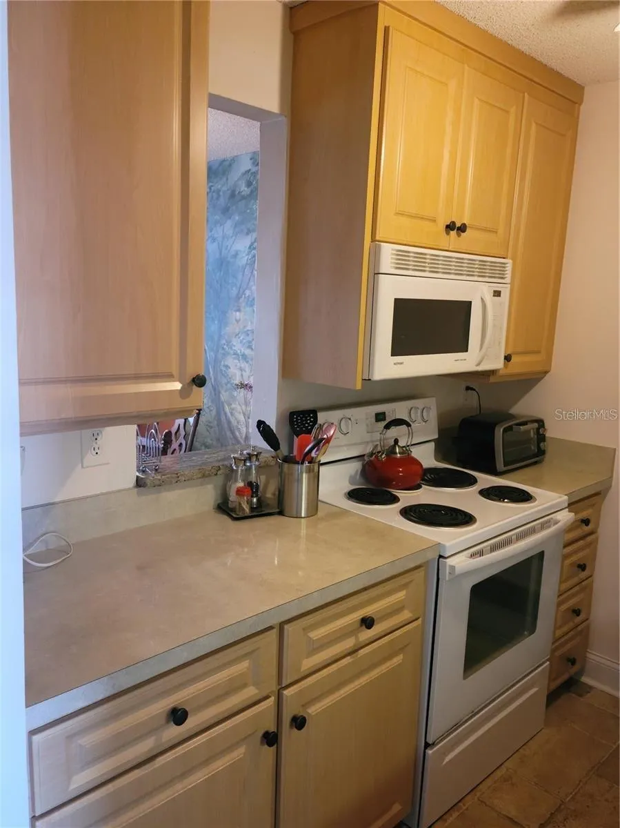 7405 BAY ISLAND DRIVE S #224 South Pasadena, FL 33707